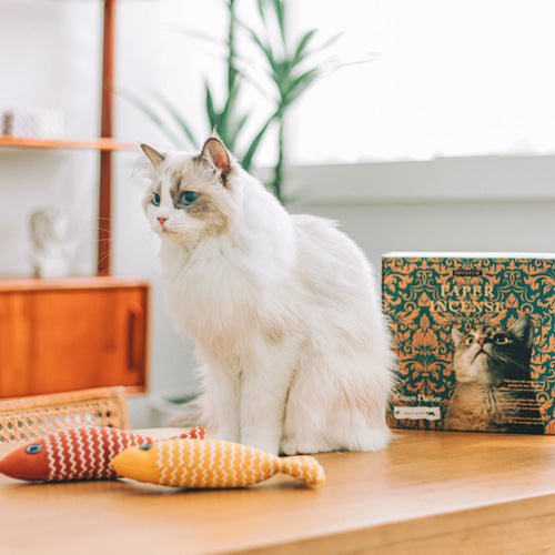 OPTATUM Cat Paper Incense & Catnip Toy Gift Set