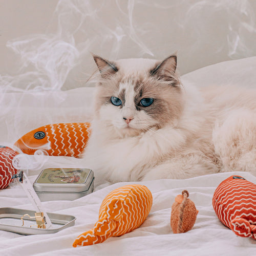 OPTATUM Cat Paper Incense & Catnip Toy Gift Set