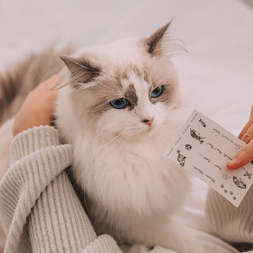 OPTATUM Cat Paper Incense & Catnip Toy Gift Set