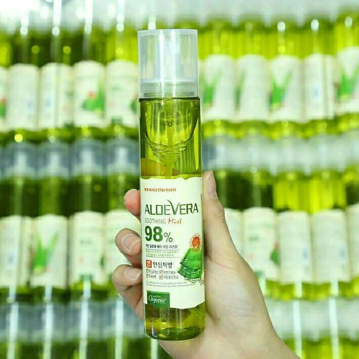 (Mhark) Fromnature Aloevera 98% Soothing Gel Mist 120ml - KLO