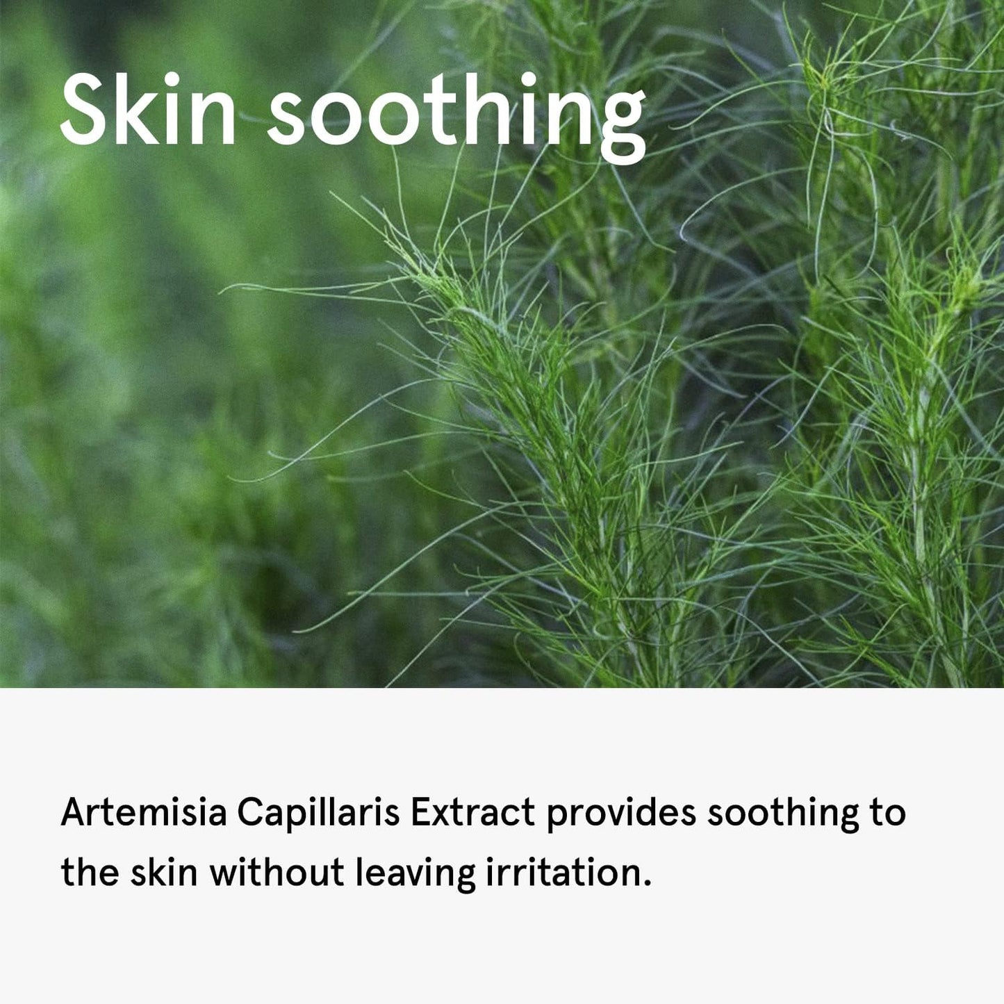 ONE THING Artemisia Capillaris Extract 150ml - KLO