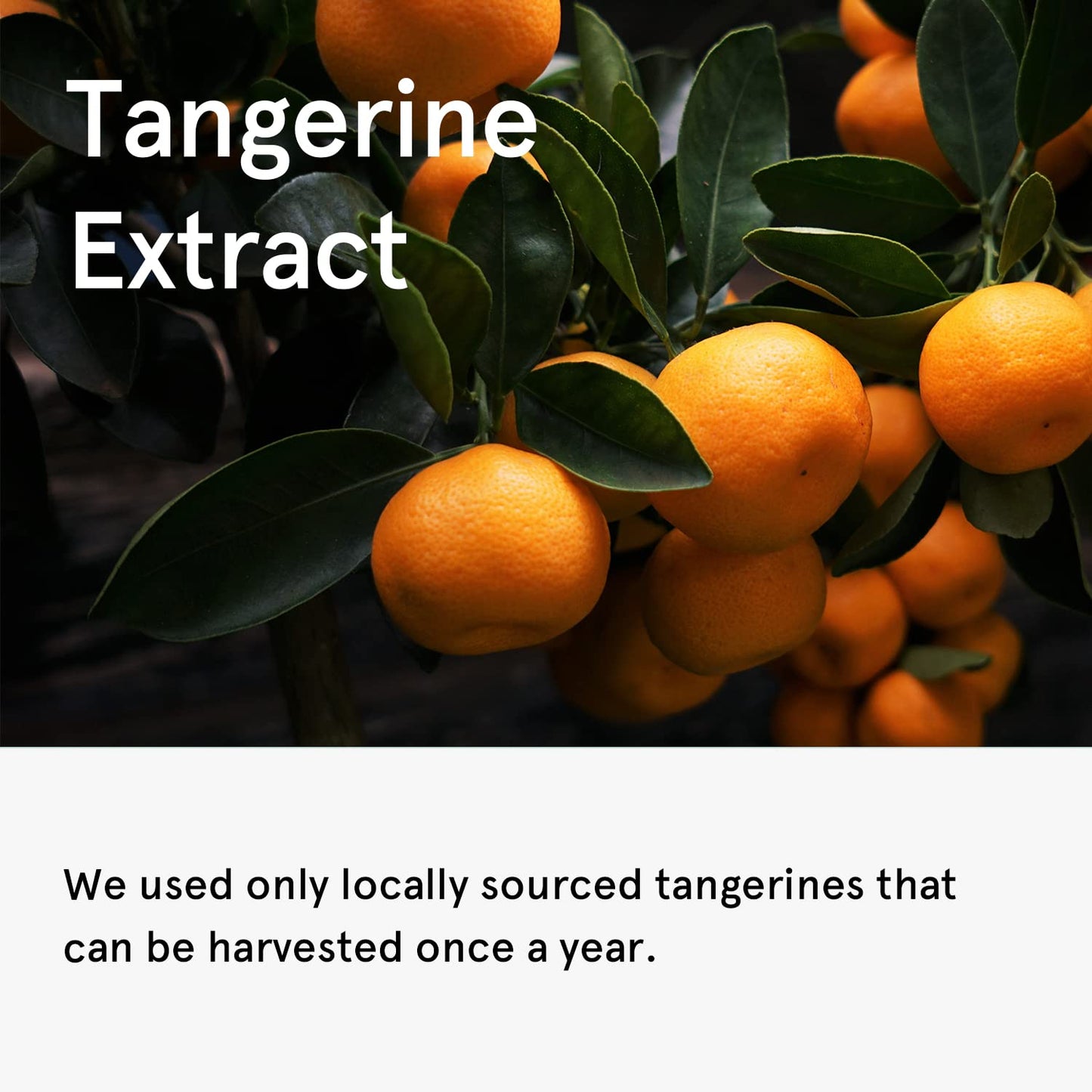 ONE THING Tangerine Serum 80ml - KLO