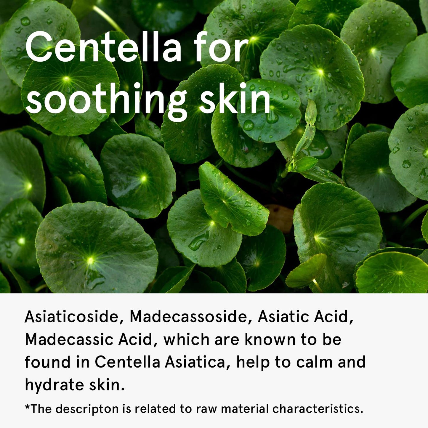 ONE THING Centella Moisturizing Sunscreen 50ml - DODOSKIN