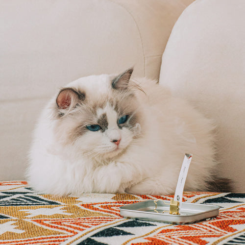 OPTATUM Cat Paper Incense & Catnip Toy Gift Set