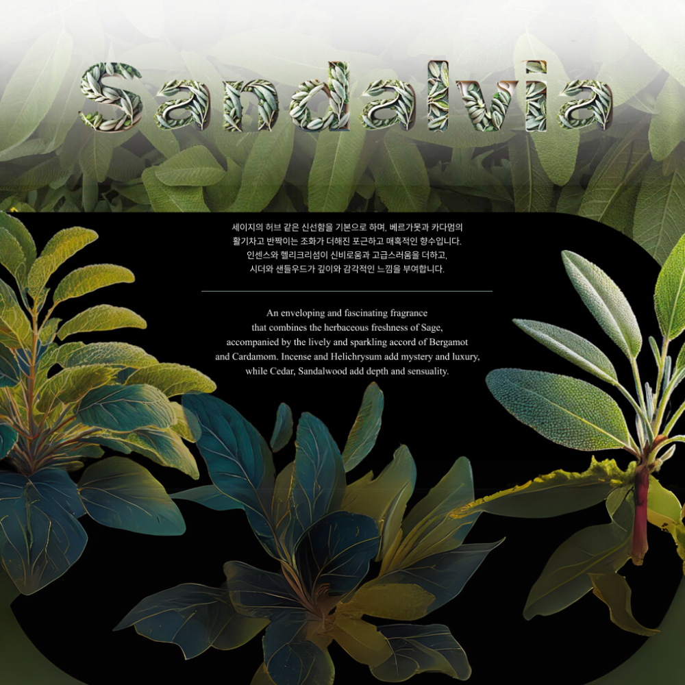 BOIS 1920 Sandalvia 18ml