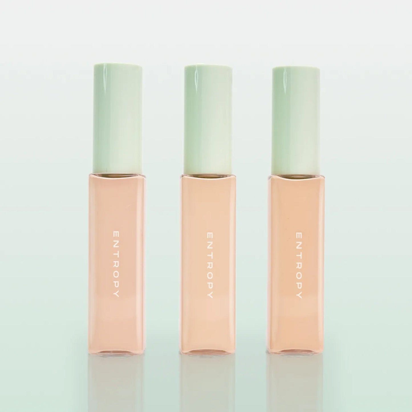 ENTROPY Organza Fit Spatula Foundation 40g