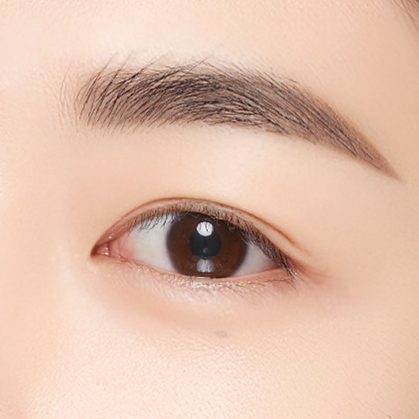 MISSHA Perfect Eyebrow Styler 15g 6 colors