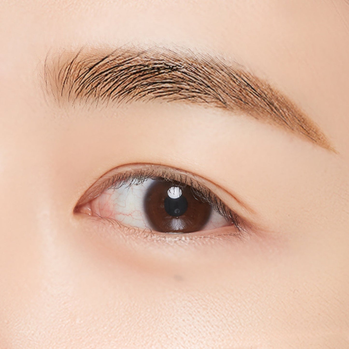 MISSHA Perfect Eyebrow Styler 15g 6 colors