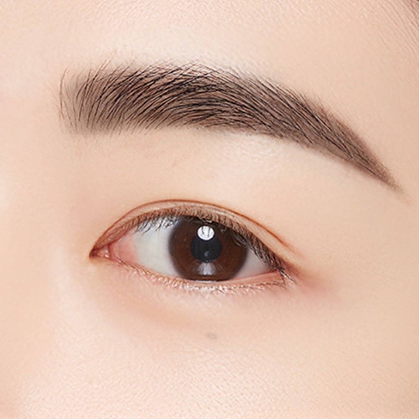 MISSHA Perfect Eyebrow Styler 15g 6 colors