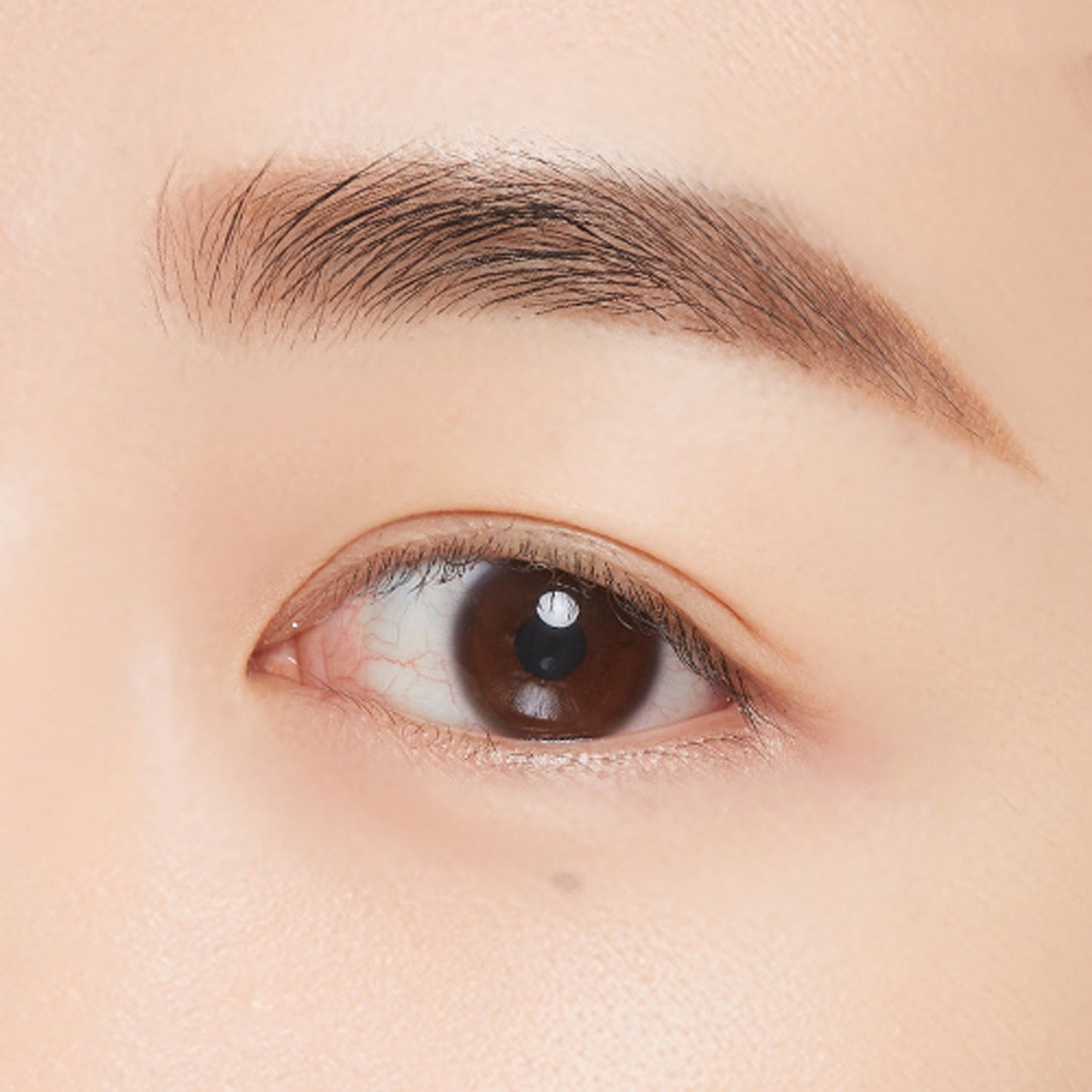 MISSHA Perfect Eyebrow Styler 15g 6 colors