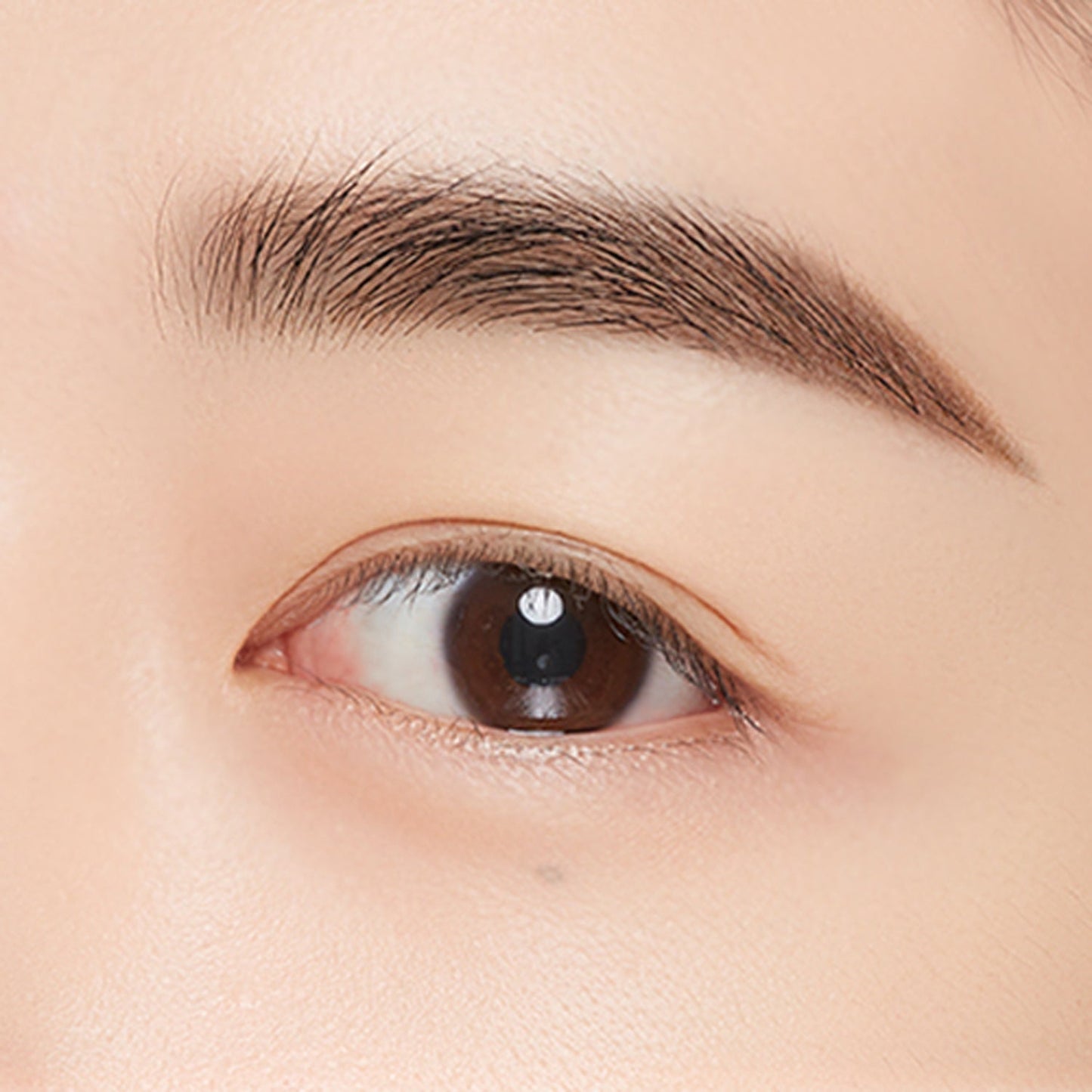 MISSHA Perfect Eyebrow Styler 15g 6 colors
