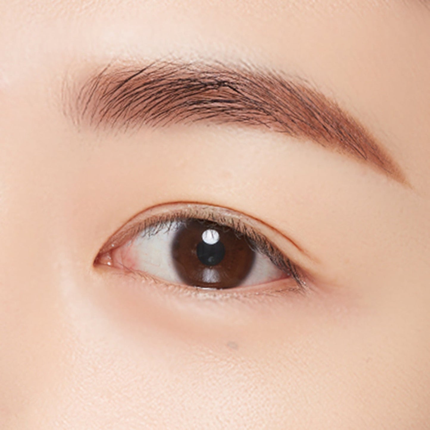 MISSHA Perfect Eyebrow Styler 15g 6 colors