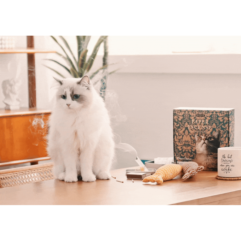 OPTATUM Cat Paper Incense & Catnip Toy Gift Set