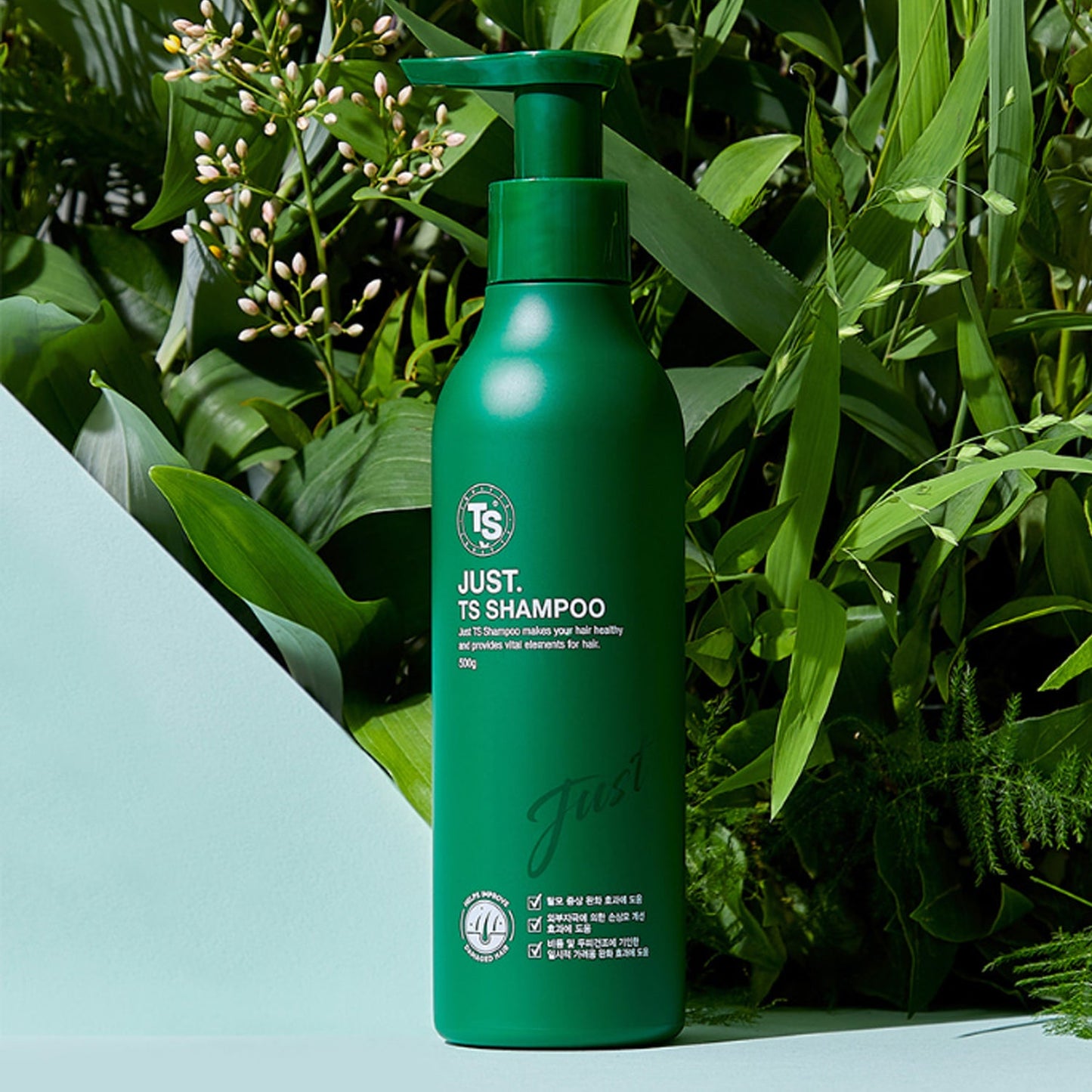 TS TRILLION Just TS Shampoo 500g