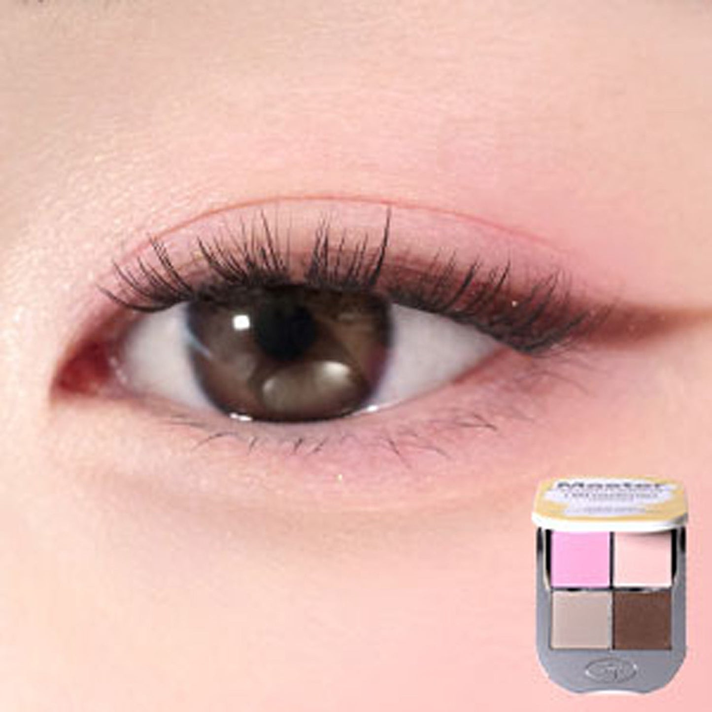 Tooq One by Genuine Magnetic Eyeshadow Palette 3 Types