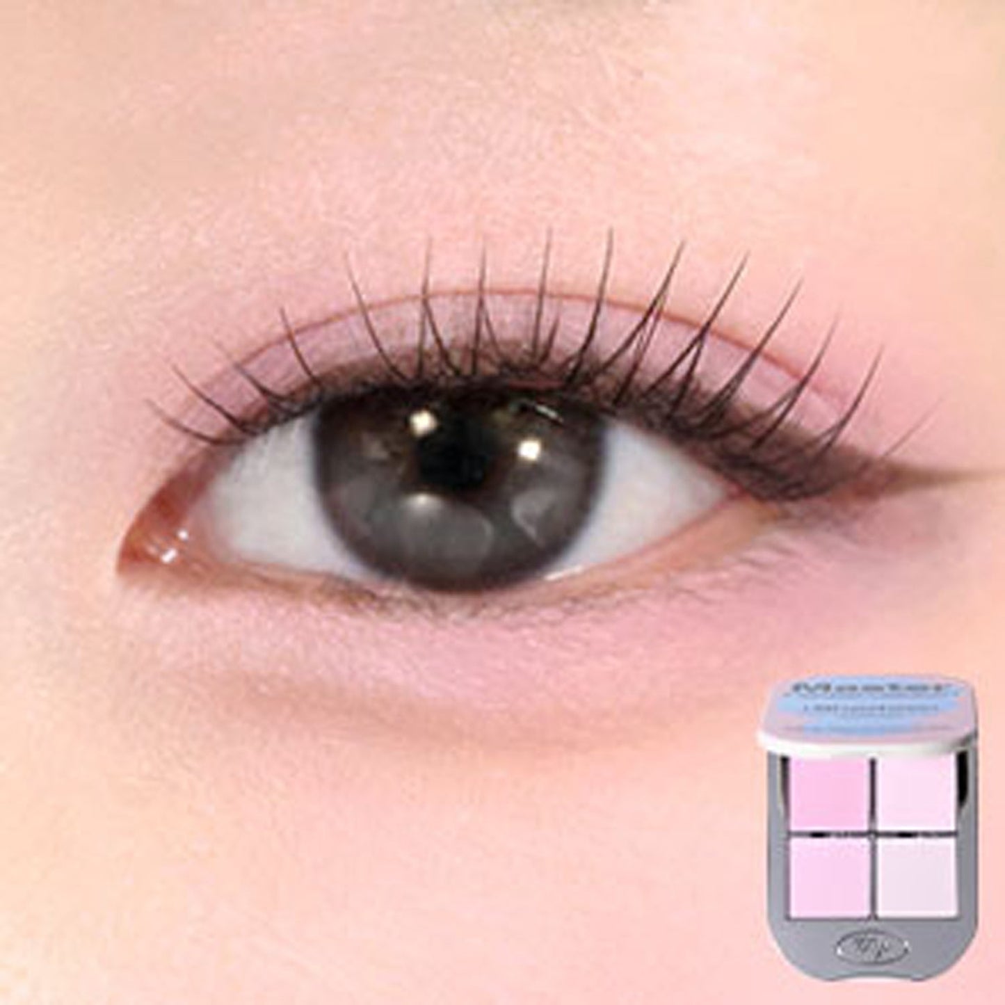 Tooq One by Genuine Magnetic Eyeshadow Palette 3 Types