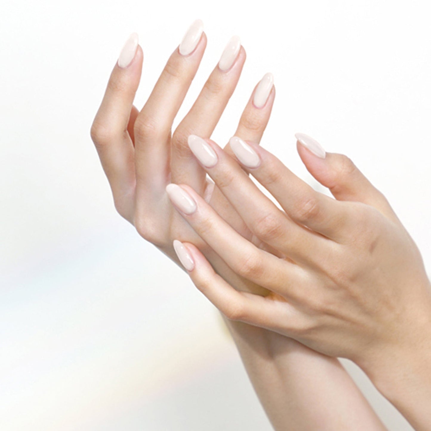 Withshyan Withgel Collection 28 Colors