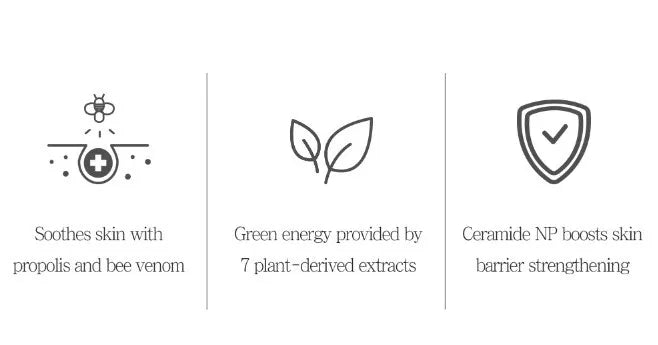 Pretty skin Micro AC Spot Toner From Bees 205ml - DODOSKIN