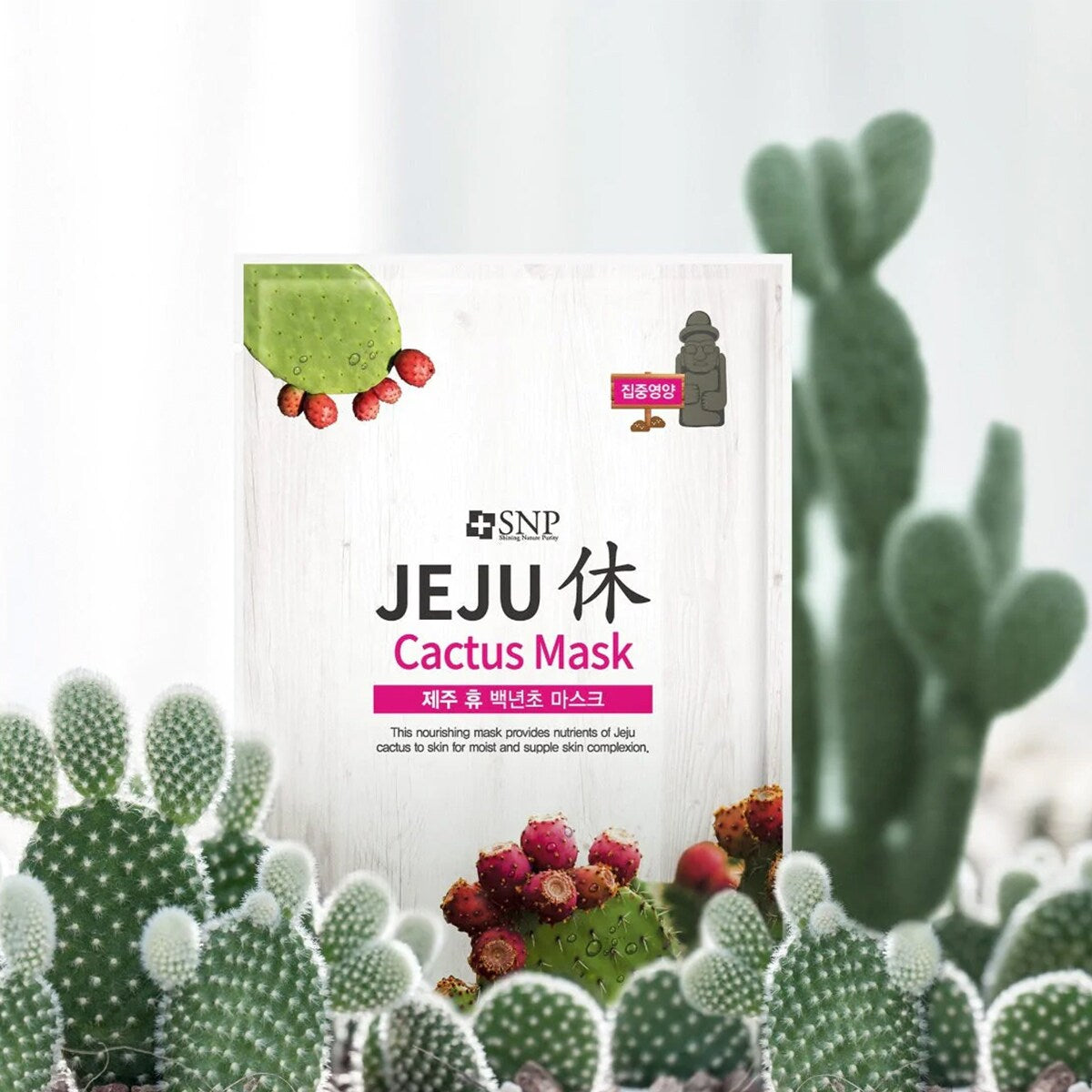 SNP Jeju Rest Cactus Mask 22ml * 5ea - KLO