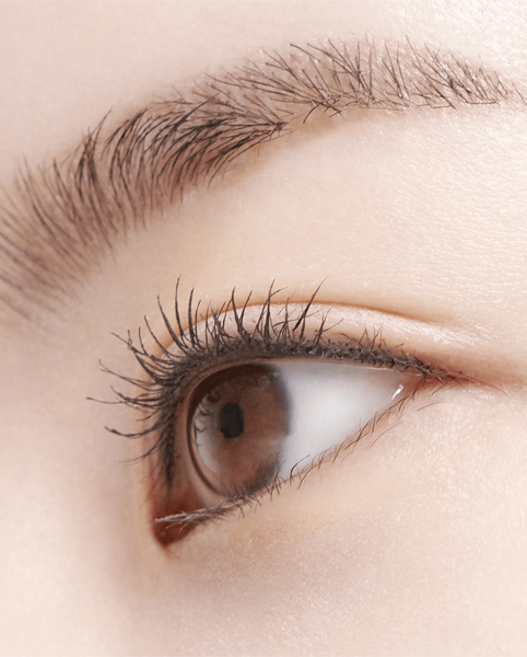 Innisfree Simple Label Mascara 7.5g - 2 Types - KLO
