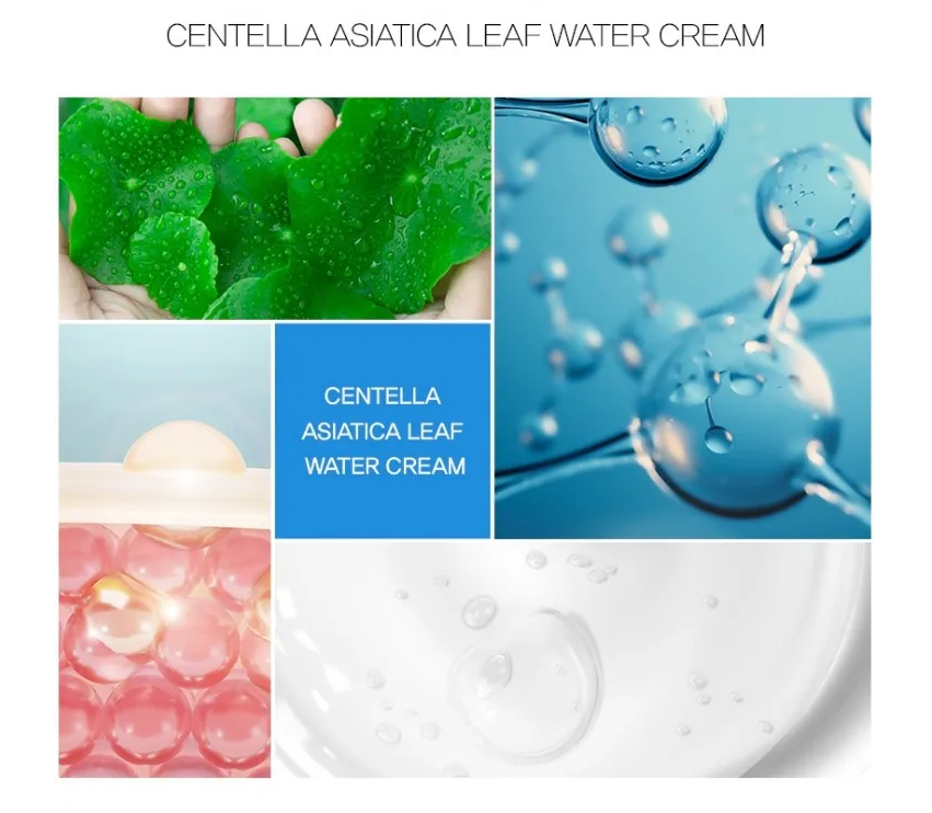 TOSOWOONG Centella Asiatica Leaf Water Cream 200ml - KLO