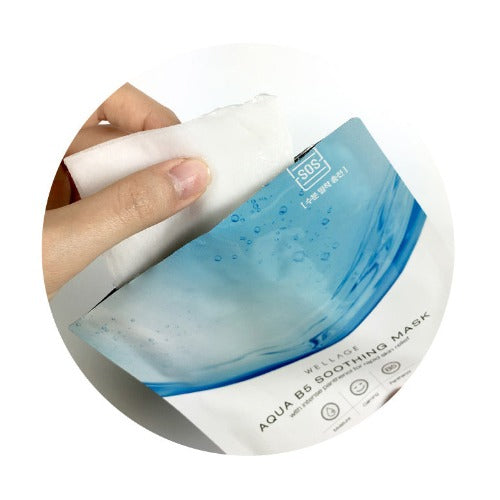 WELLAGE Aqua B5 Soothing Mask 23ml 10ea - KLO