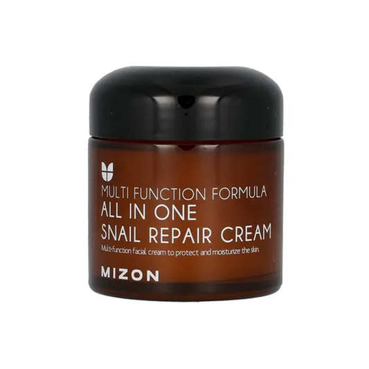 MIZON All In One Snail Repair Cream 75ml - DODOSKIN