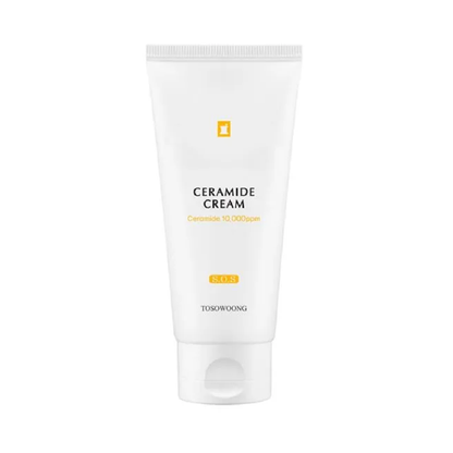 TOSOWOONG Ceramide Cream 60ml - DODOSKIN