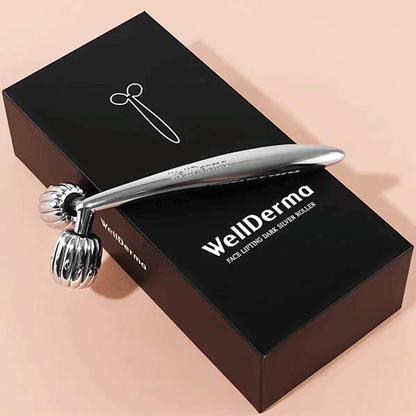 WellDerma Face Lifting Roller Dark Silver 1pcs - KLO