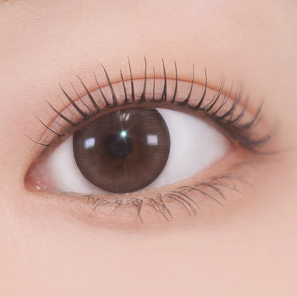 Dinto Dante Lash Definer 7.5ml 2 colors
