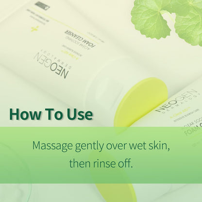 NEOGEN DERMALOGY A-CLEAR Soothing Foam Cleanser 100ml - DODOSKIN