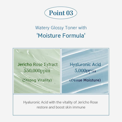 NACIFIC Hyal Booster Toner 150ml