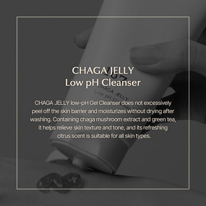ONEOSEVEN Chaga Jelly Low pH Cleanser 120ml - DODOSKIN