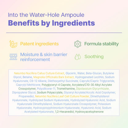PLODICA Into the Water-Hole Ampoule 50ml - DODOSKIN