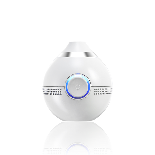 INNOLEAF for One-Shot Elasticity Care - DODOSKIN