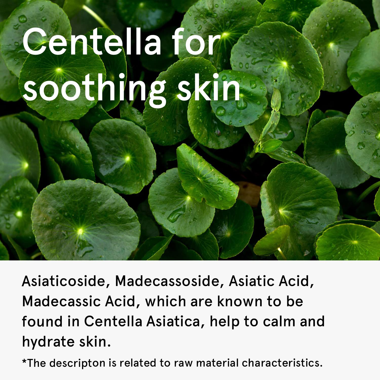 ONE THING Centella Moisturizing Sunscreen 50ml - DODOSKIN