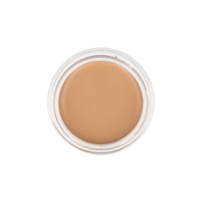 the SAEM Cover Perfection Pot Concealer 6g (Renewal) - DODOSKIN
