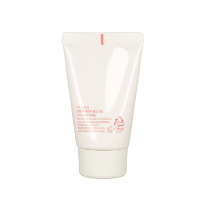 Innisfree Jeju Cherry Blossom Glow Tone Up Cream 50ml - KLO