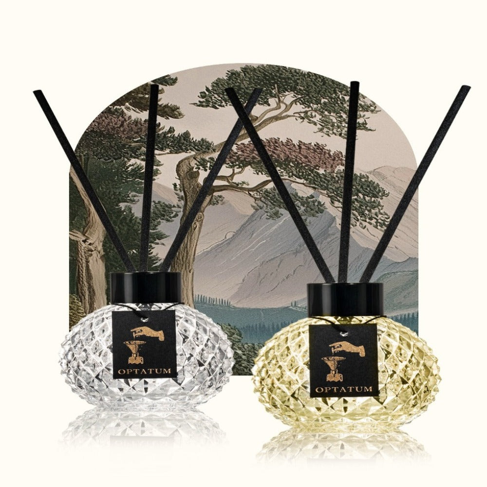 OPTATUM My special Constellation Scent Space Diffuser