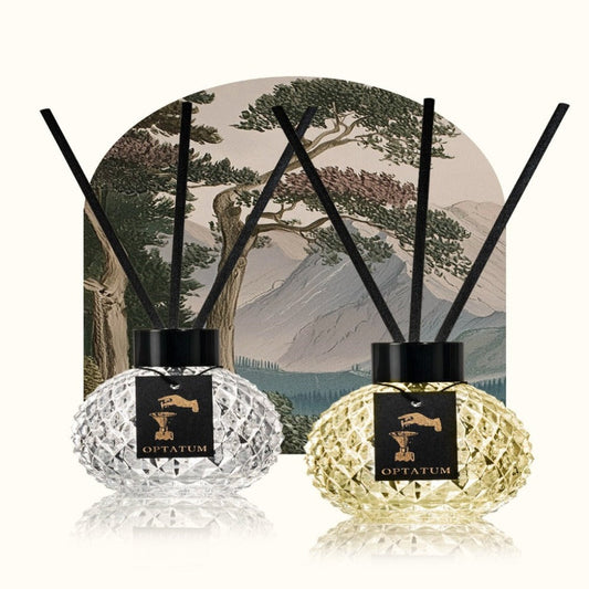 OPTATUM My special Constellation Scent Space Diffuser