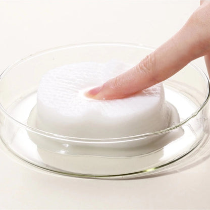 Ariul The Perfect Cleansing Oil Pads EX 75ml 60pads