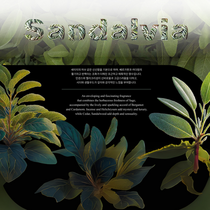 BOIS 1920 Sandalvia 18ml