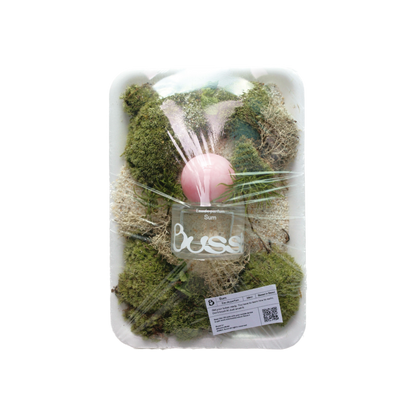 Bussi Eau De Parfum 30ml (5 options to choose)