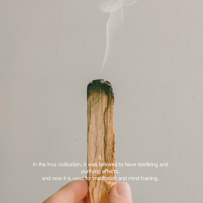 Deun Hyang Palo Santo Natural Aroma Smudge Stick 3ea