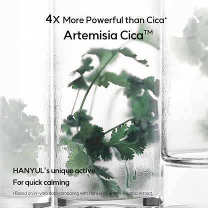 HANYUL Pure Artemisia Trouble Calming Mist 120ml Refill Set (+120ml Refill)