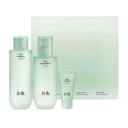 HANYUL Pure Artemisia Watery Calming Toner 150ml + Fluid 125ml Set