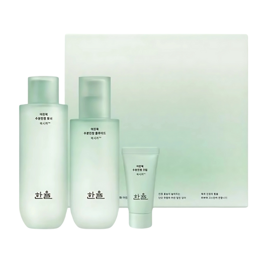 HANYUL Pure Artemisia Watery Calming Toner 150ml + Fluid 125ml Set