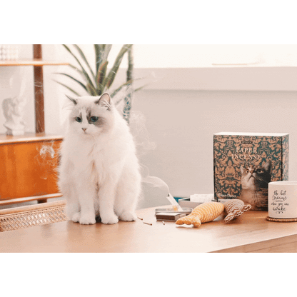 OPTATUM Cat Paper Incense & Catnip Toy Gift Set