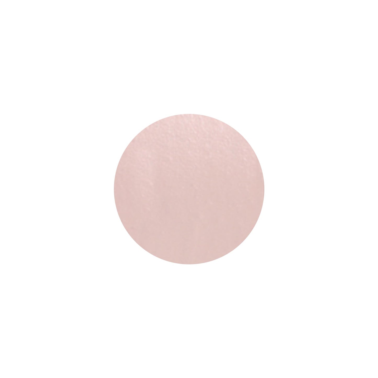 THE SAEM Cover Perfection Fixealer 6.5g 3 Colors