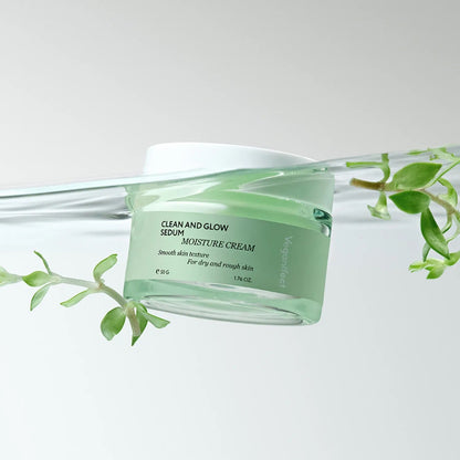 Veganifect Clean and Glow Sedum Moisture Cream 50g